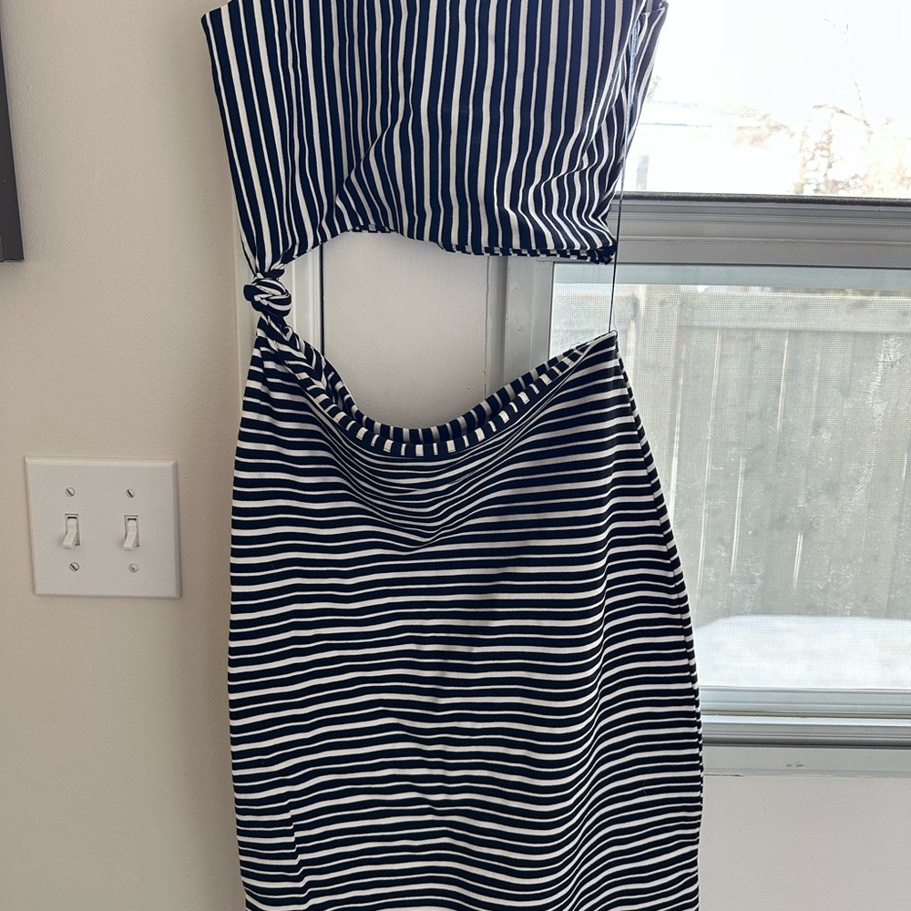 Zara Black and White Striped dress